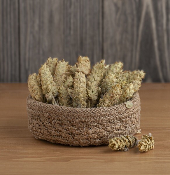 Adaçayı Akdeniz 30 Gr. - 