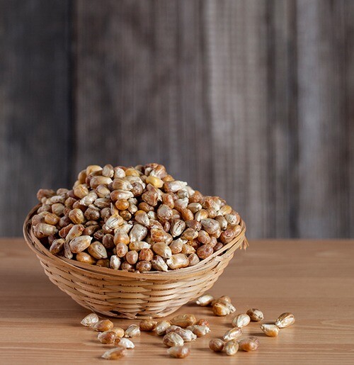 Mısır Kavurgası - 